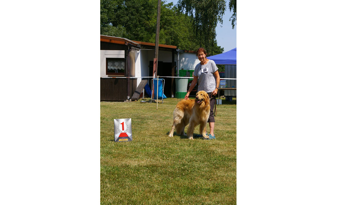 Argus vom Vilsfeld, schönster Rüde, BOB