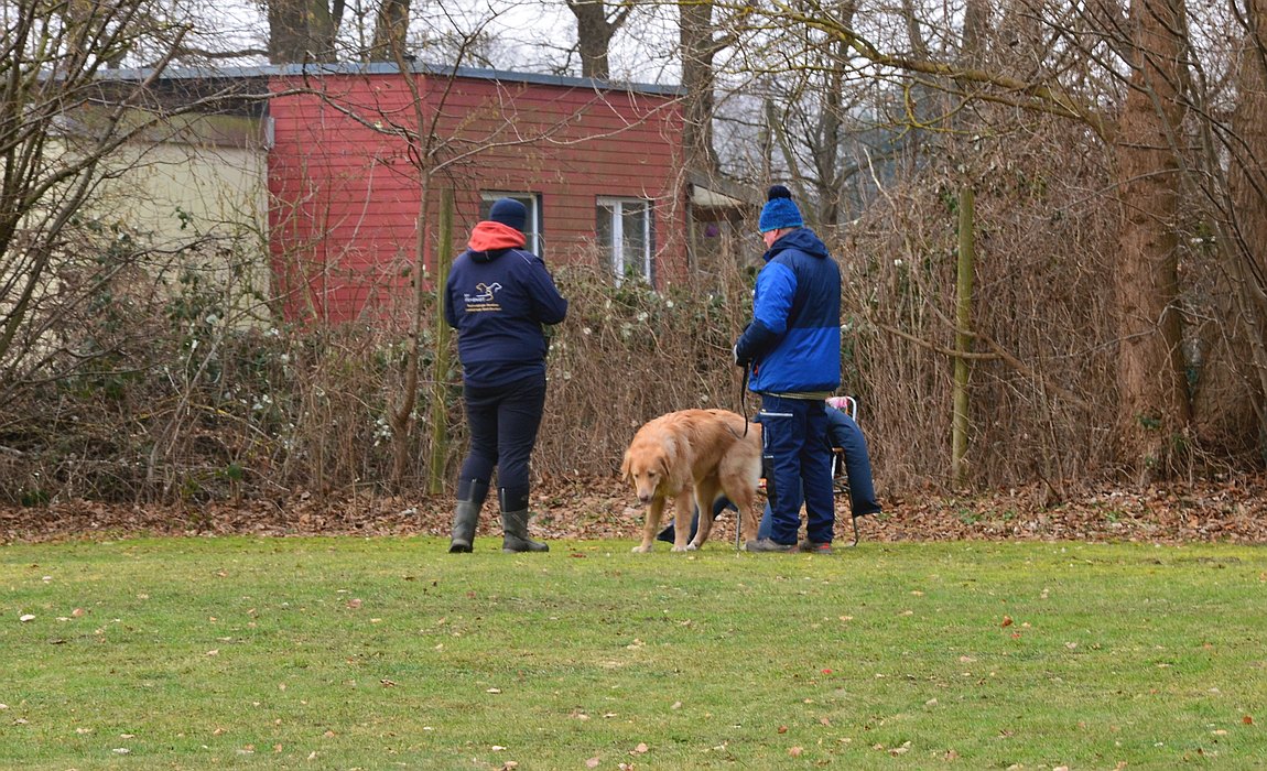Die jungen Wilden bei der NZB